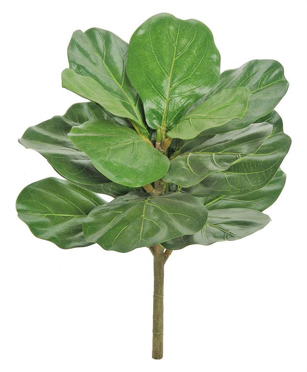 Baby Fiddle Leaf Fig Branch 21.5”